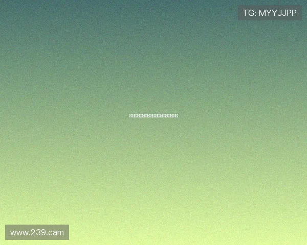 探索欢乐无限的游艺城：畅享精彩娱乐体验